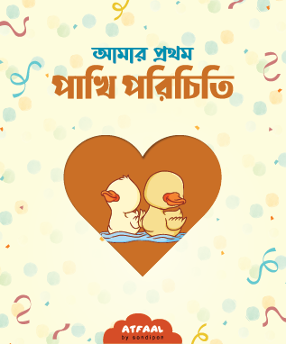 আমার প্রথম পাখি পরিচিতি